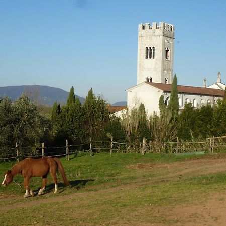 Casa Marcè a Sonno Bed and Breakfast Porcari Esterno foto